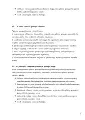 Lietuvos vyriausybinių institucijų vaidmuo aplinkos apsaugos politikoje 6 puslapis