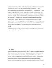 Lygiateisiškumas - bendrasis teisės principas 12 puslapis