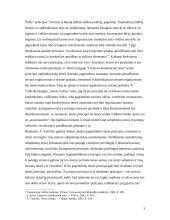 Lygiateisiškumas - bendrasis teisės principas 3 puslapis