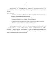 Paauglių požiūris į nepilnamečių nusikalstamumo priežastis 2 puslapis