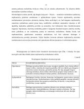 Paauglių požiūris į nepilnamečių nusikalstamumo priežastis 13 puslapis