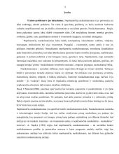 Paauglių požiūris į nepilnamečių nusikalstamumo priežastis 3 puslapis