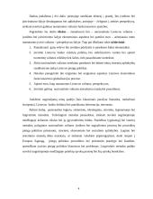 Lito kaip nacionalinės valiutos vertinimas, teigiami ir neigiami aspektai, atsisakant nacionalinės valiutos 4 puslapis
