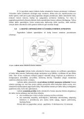 Pagrindiniai darbo apmokėjimo organizavimo principai 13 puslapis