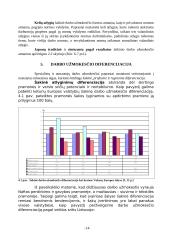 Pagrindiniai darbo apmokėjimo organizavimo principai 14 puslapis