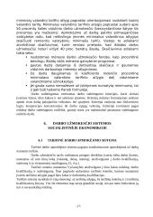 Pagrindiniai darbo apmokėjimo organizavimo principai 17 puslapis