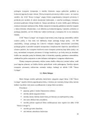 Lizingas. Lizingo atsiradimo istorija ir vaidmuo 18 puslapis