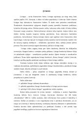 Lizingas. Lizingo atsiradimo istorija ir vaidmuo 3 puslapis