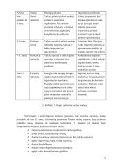 Papildomo informatikos mokymo pagrindinėje mokykloje analizė 14 puslapis