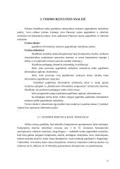 Papildomo informatikos mokymo pagrindinėje mokykloje analizė 16 puslapis