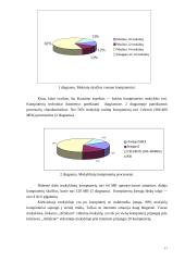 Papildomo informatikos mokymo pagrindinėje mokykloje analizė 17 puslapis