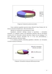 Papildomo informatikos mokymo pagrindinėje mokykloje analizė 18 puslapis