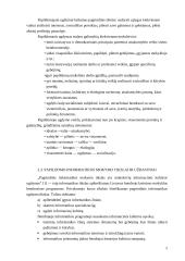 Papildomo informatikos mokymo pagrindinėje mokykloje analizė 9 puslapis