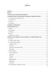 Paslaugų ir aptarnavimo įmonės informacinė sistema 2 puslapis