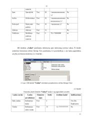 Paslaugų ir aptarnavimo įmonės informacinė sistema 11 puslapis