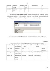 Paslaugų ir aptarnavimo įmonės informacinė sistema 13 puslapis