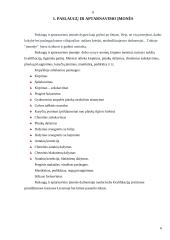 Paslaugų ir aptarnavimo įmonės informacinė sistema 6 puslapis