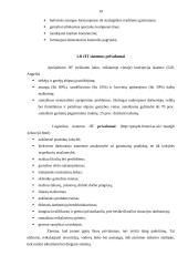 Logistikos sistemos JIT privalumai ir trūkumai 19 puslapis