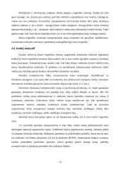 Logistikos vaidmuo biznio sistemoje 14 puslapis