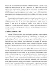 Logistikos vaidmuo biznio sistemoje 7 puslapis