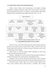 Logistikos valdymo optimizavimas. Logistinių operacijų valdymo kontrolė 10 puslapis