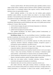 Pedagoginių veiksnių įtaka mokiniui 19 puslapis