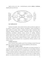 Pedagoginių veiksnių įtaka mokiniui 10 puslapis