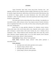 Plėtros galimybių studija: užeiga "Beržynė" 2 puslapis