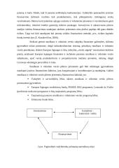 Plėtros galimybių studija: užeiga "Beržynė" 11 puslapis