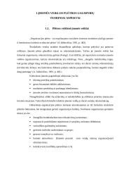 Plėtros galimybių studija: užeiga "Beržynė" 4 puslapis