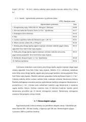 Produktyvaus cukrinių runkelių pasėlio formavimas naudojant Terra–Sorb Foliar 19 puslapis