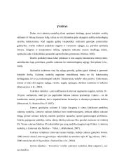 Produktyvaus cukrinių runkelių pasėlio formavimas naudojant Terra–Sorb Foliar 6 puslapis