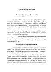 Produktyvaus cukrinių runkelių pasėlio formavimas naudojant Terra–Sorb Foliar 8 puslapis