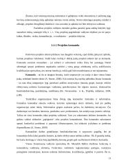 Projektų valdymo strategija Telšių kultūros centruose 12 puslapis