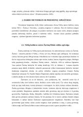 Projektų valdymo strategija Telšių kultūros centruose 20 puslapis