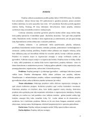 Projektų valdymo strategija Telšių kultūros centruose 3 puslapis