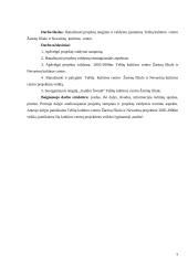 Projektų valdymo strategija Telšių kultūros centruose 4 puslapis