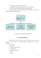Projektų valdymo strategija Telšių kultūros centruose 7 puslapis