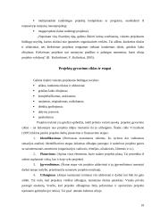 Projektų valdymo strategija Telšių kultūros centruose 9 puslapis
