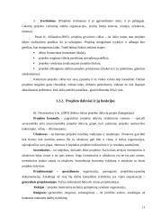 Projektų valdymo strategija Telšių kultūros centruose 10 puslapis