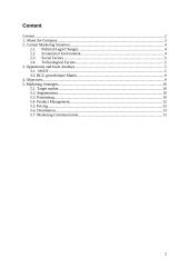 Marketing Strategies of Nike, Inc. 2 puslapis