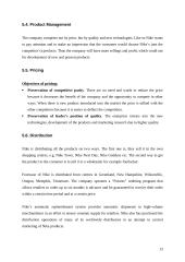 Marketing Strategies of Nike, Inc. 13 puslapis