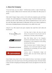 Marketing Strategies of Nike, Inc. 3 puslapis