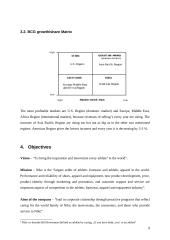 Marketing Strategies of Nike, Inc. 9 puslapis