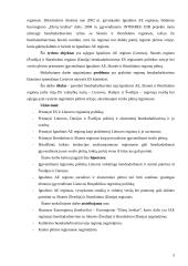 Regioninės politikos raida Europos Sąjungoje (ES) 3 puslapis