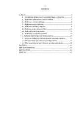 Reklaminio-vizualinio teksto suvokimo ypatumai trečioje klasėje 2 puslapis