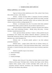 Reklaminio-vizualinio teksto suvokimo ypatumai trečioje klasėje 5 puslapis