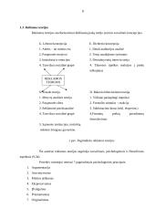 Reklaminio-vizualinio teksto suvokimo ypatumai trečioje klasėje 8 puslapis