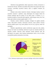 Savarankiška veikla mokykloje 16 puslapis
