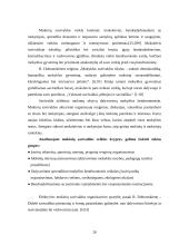 Savarankiška veikla mokykloje 20 puslapis